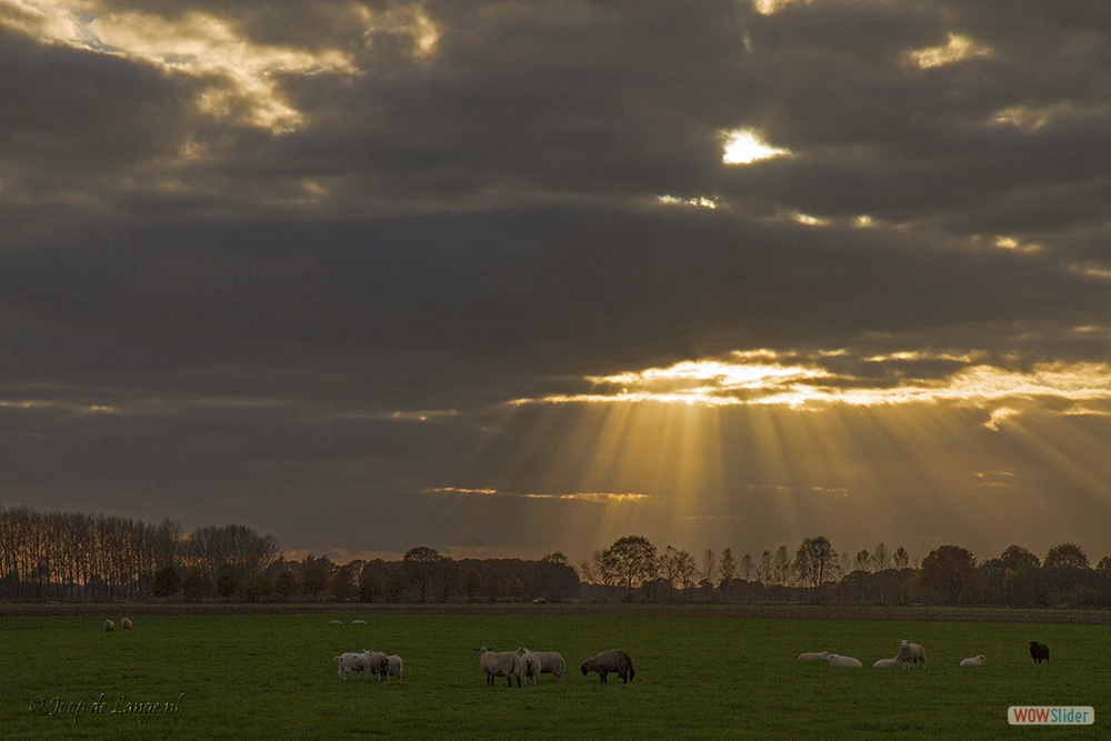 1601-7886 Lucht=17-11-17