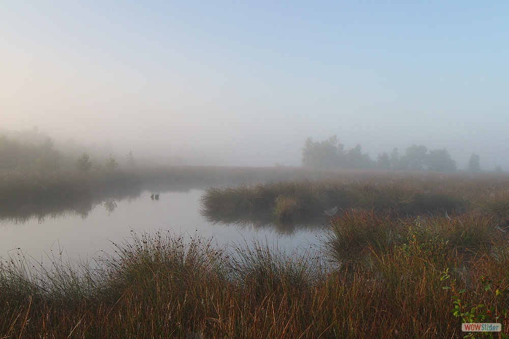 1465-4031 Engbertsdijksvenen&mist=17-8-16